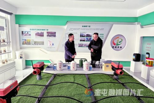 奎屯-獨山子經(jīng)濟(jì)技術(shù)開發(fā)區(qū) 政企銀聯(lián)動強(qiáng)鏈補(bǔ)短，技術(shù)開發(fā)提速園區(qū)高質(zhì)量發(fā)展